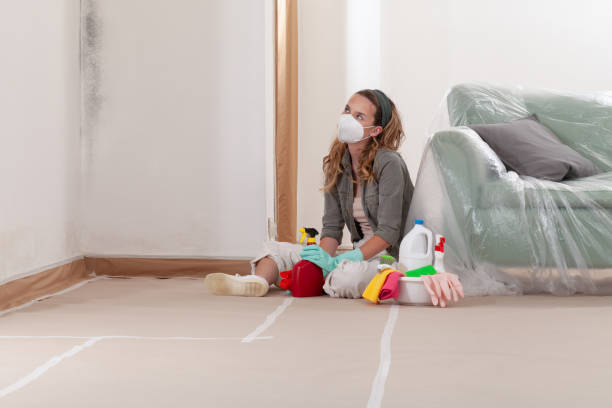 Reliable Mold Remediation contractor in Westfield, NJ by Cheap Mold Removal